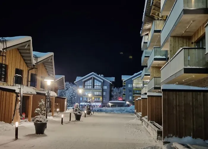 Cranberry C 13 Ski-in Ski-out Visit Huoneisto Levi